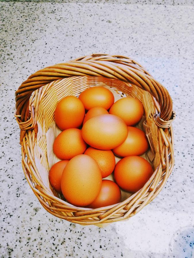 Cal Pau De La Gralla Pobla de Montornés Esterno foto